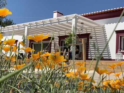 Room with a view  at Vegans by the Sea - Country Houses in Santiago Do Cacem