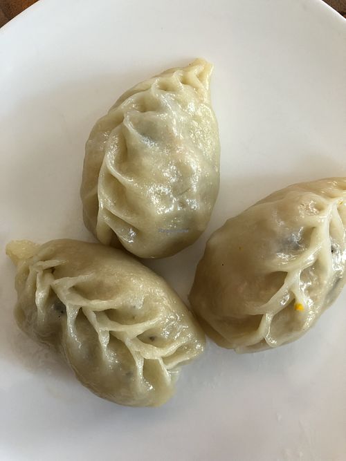 Vegetable gyoza at Kaori in Trieste