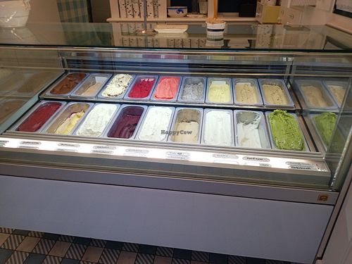Various vegan and vegetarian flavours at Eis Greissler in Wiener Neustadt