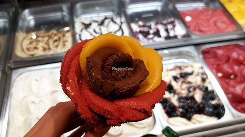 Vegan Ice cream in a cone, extremely tasty ans so beautiful! at Amorino in Hannover