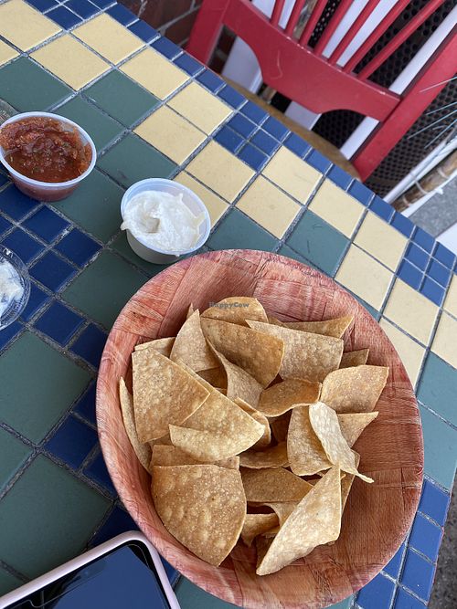 Chips with vegan sour cream and salsa  at Texicana Grill in Bellmore