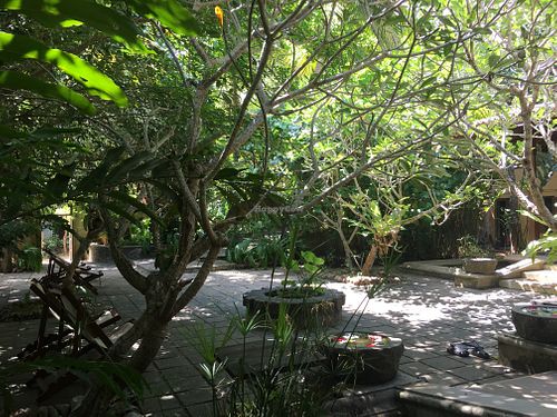 View from cafe at Cafe Durga in Unawatuna