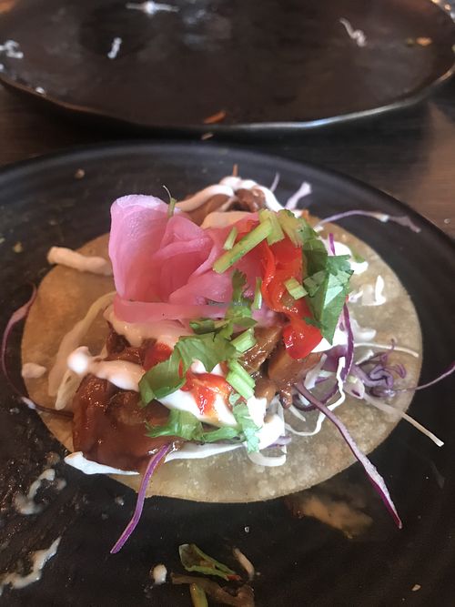 Pulled jackfruit taco at Vandal in Newtown