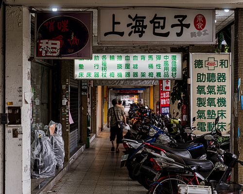 ShàngHǎi Bāo Zǐ 上海包子素食點心