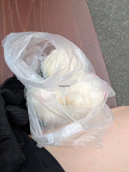 ShàngHǎi Bāo Zǐ 上海包子素食點心