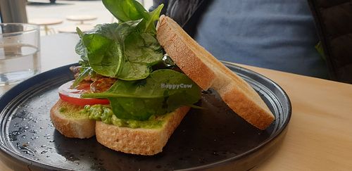 Blat at Staple in Altona