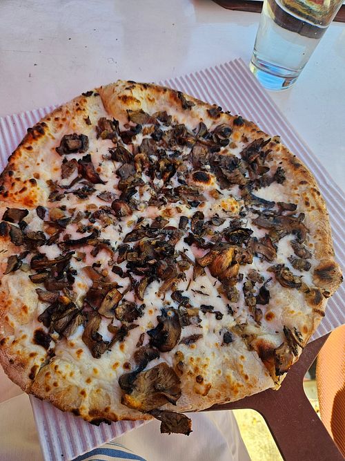 Funghi pizza with vegan cheese at Bigalora in Canton