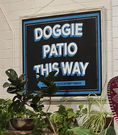 Bring your dog 🐕 at Tacotarian - Downtown LV in Las Vegas