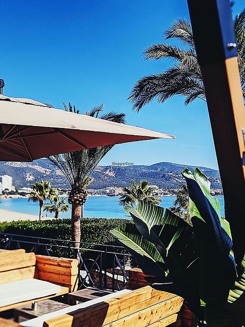View from the terrace at Origin Palmanova in Mallorca