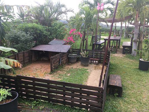 Pet turtle enclosure at Hikari Rakuen in Ishigaki