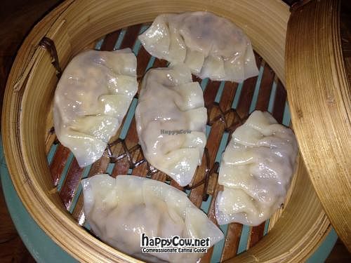 dumplings at Yong Green Food in Fitzroy
