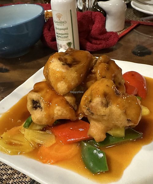 Sweet and sour cauliflower (so good + comes with rice)   at Peace Cafe in Siem Reap