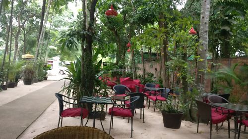 Oasis at Peace Cafe in Siem Reap