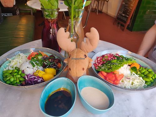 Teriyaki tofu and avocado poke bowls. Currant & rhubarb homemade sodas. at Holy Nosh Deli in Kassel