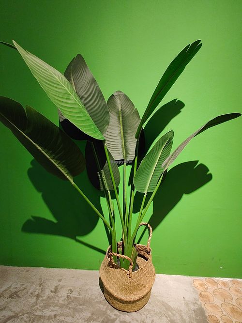 interior decor  at Sove in Central Singapore