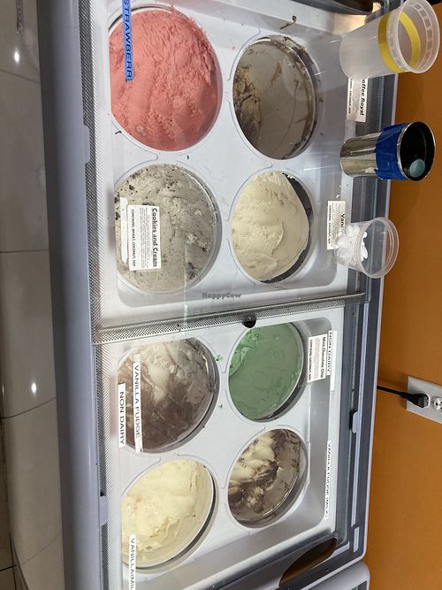 Options the night we were there   at Brendy's Yogurt & Ice Cream in Boca Raton