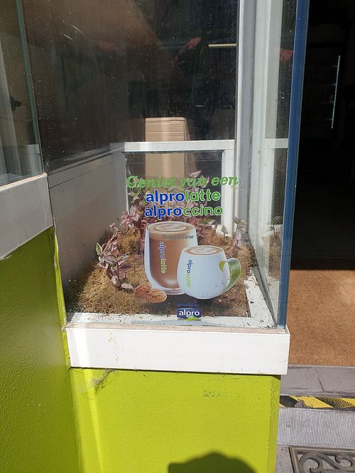 In front of restaurant soy lattes and cappucinos at Falafel Top in Leuven