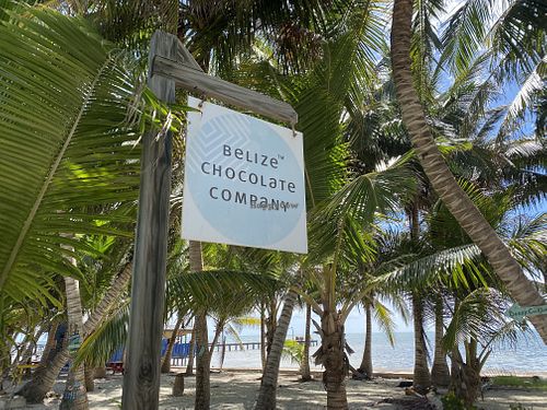   at Belize Chocolate Company in Caye Caulker