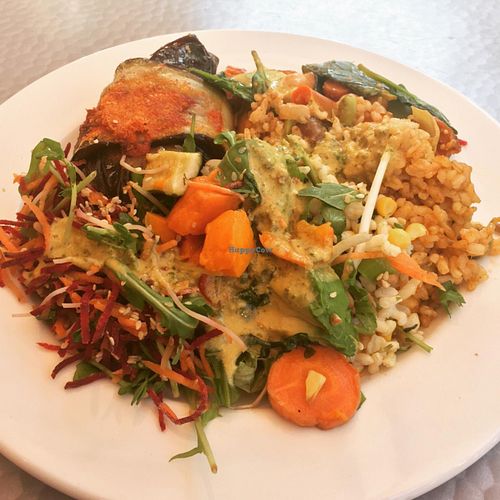 eggplant lentil and sweet potato roll at Nature Care College Cafe in St Leonards