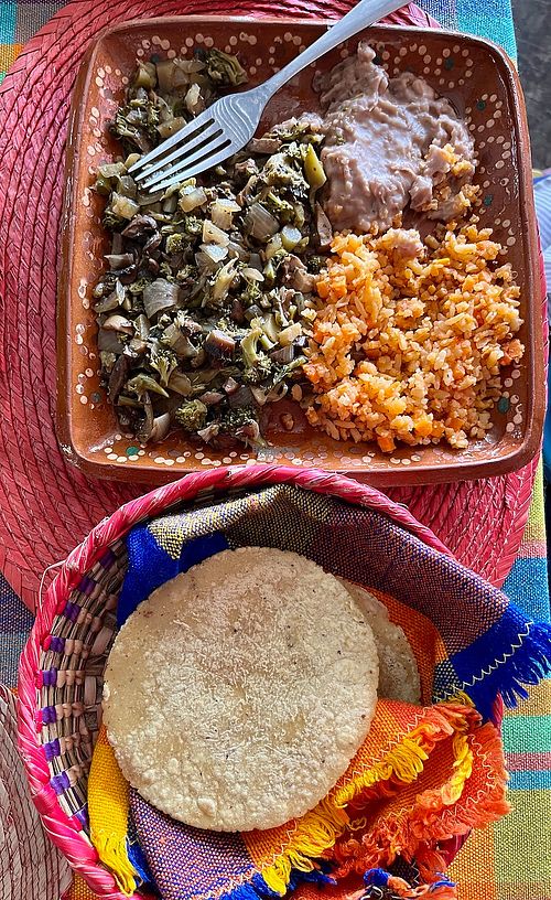 Mushroom, onion & broccoli stew w refried beans & rice at Frida in Ajijic