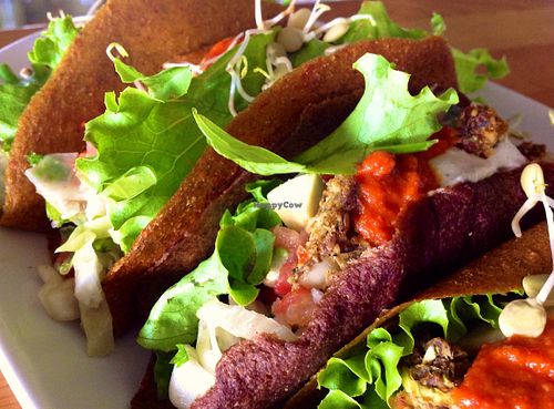 taco at Zest Raw Vegan Eats in Chicago