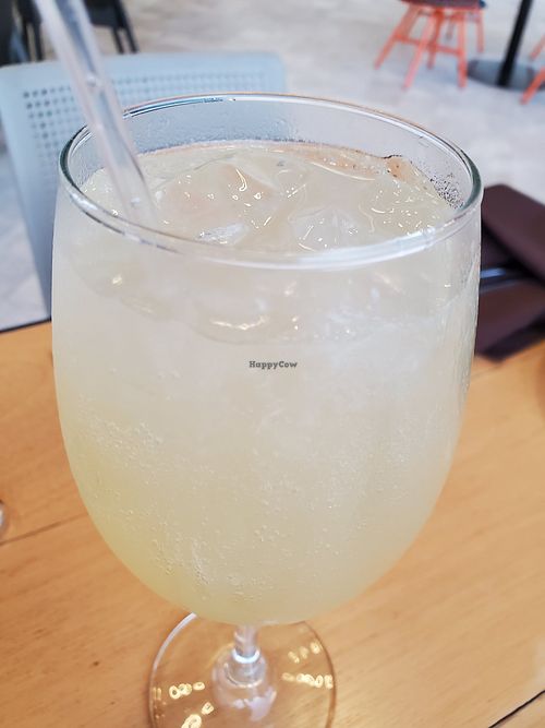 Non-alcoholic Apple Ginger at Vegan Inc in Puerto Vallarta