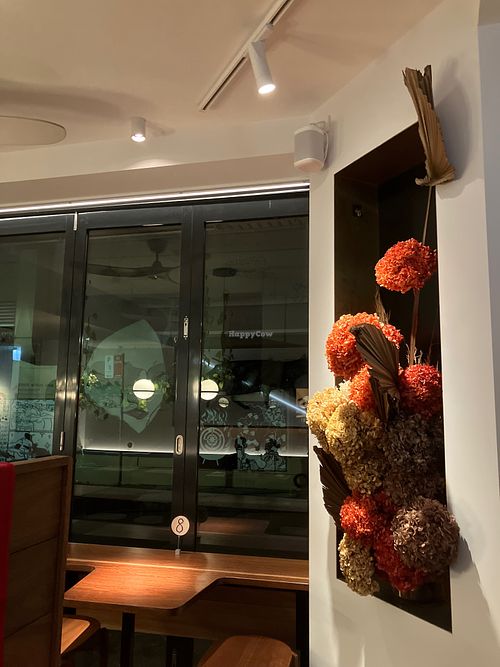  at Neko Neko in Newtown