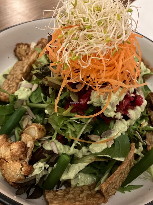  at Neko Neko in Newtown