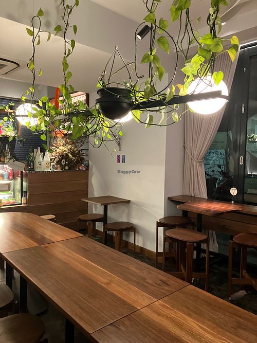  at Neko Neko in Newtown