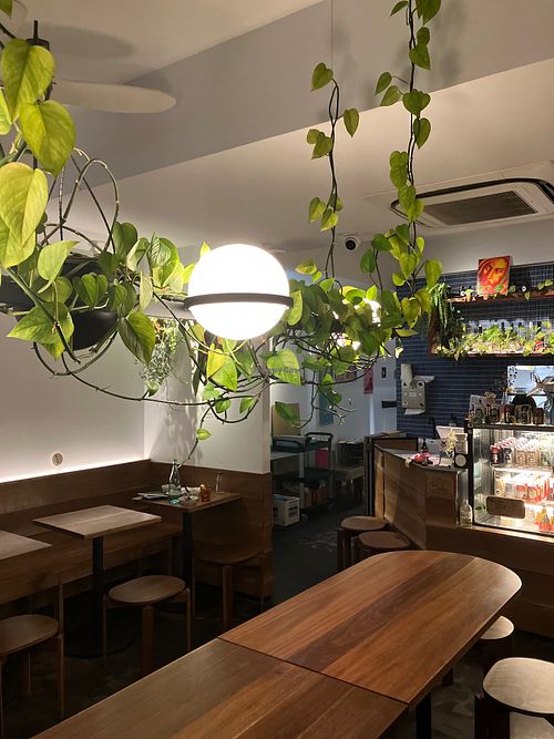  at Neko Neko in Newtown