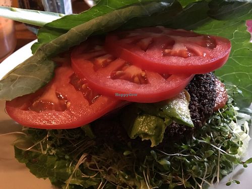 Raw burger at Liquid Earth in Baltimore