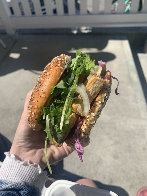 Tofu bahn mi at Juice by the Sea in Oak Bluffs