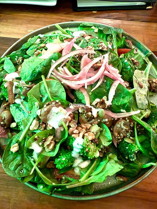 Salads are huge!  at TLC Vegan Kitchen in Richardson