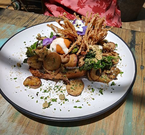 Vegan Goshroom dish. Incredible!  at Jamaica Blue in Brookvale