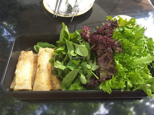 Hanoi Rolls at Ginger in Shanghai