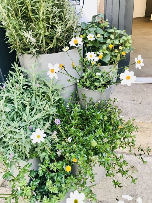   at 4minutes Cafe in Budapest