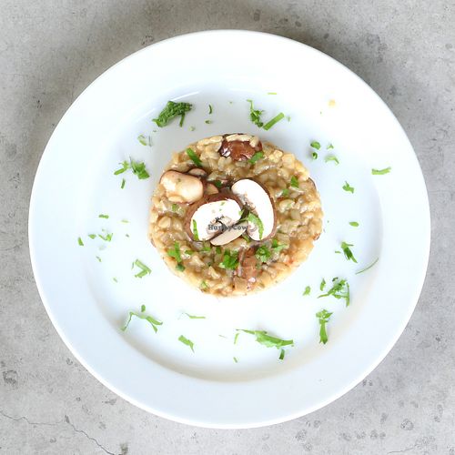 Delizia Funghi:
Risotto, mushrooms, Devozione cheese brew, Grano at Devozione Pasta Bar in Berlin