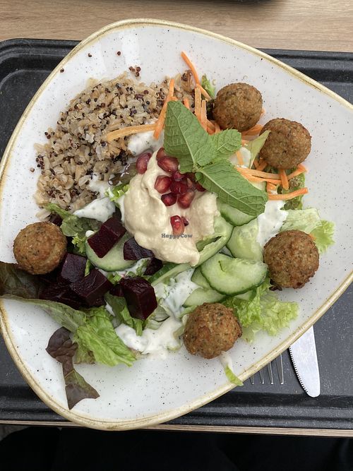 Vegan Falafel Bowl at Dean & David - Hauptplatz in Linz