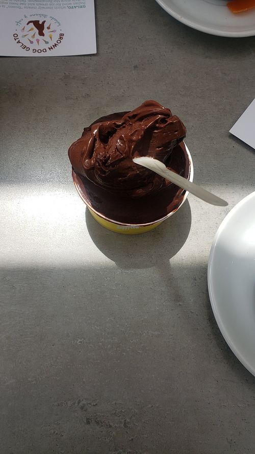 Brown Dog Gelato Rosarito Ice Cream HappyCow