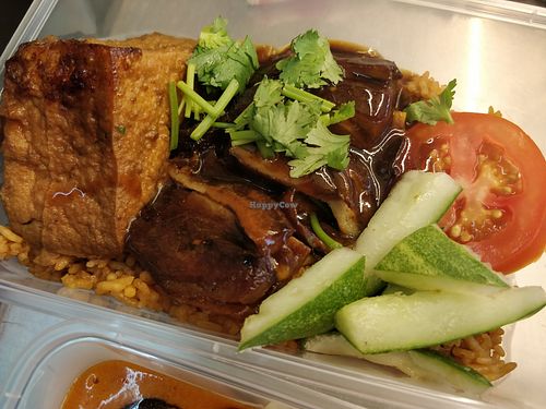 Mock Duck rice at Su-Good 素好健康 - Geylang in Central Singapore