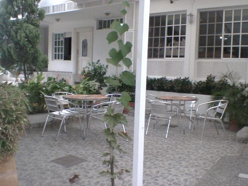 Garden at Clorofila in Barranquilla