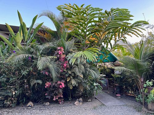 Parking & Entry at Indómitos Café & Bar in Uvita