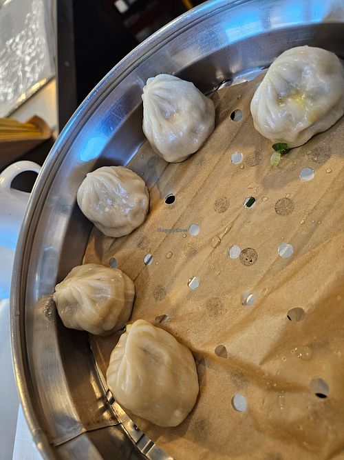 Steamed dumplings 😋 vegan at Mason's Dumpling Shop in Aurora