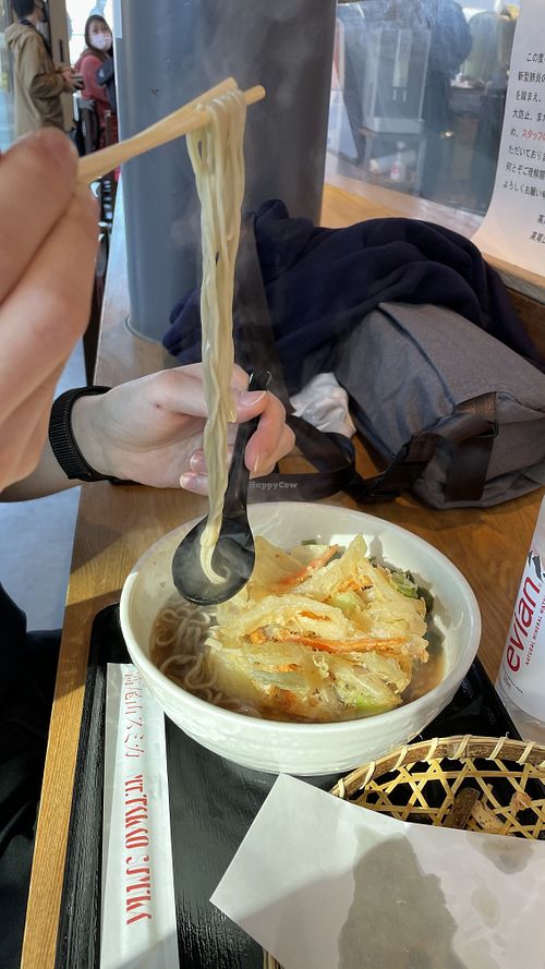I forget the exact name of this but it was かき揚げそば or mixed vegetable tempura soba. at Takaosan Sumika in Hachioji