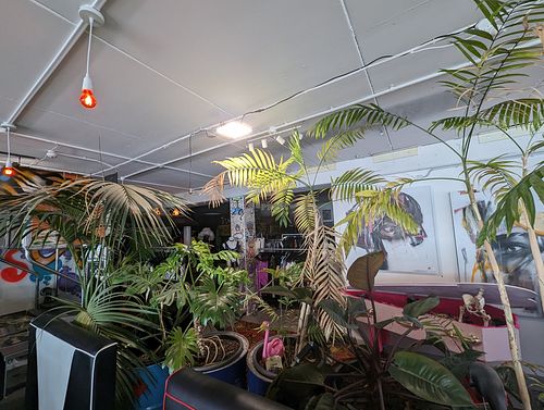 Inside at Mystic Kitchen in Wellington