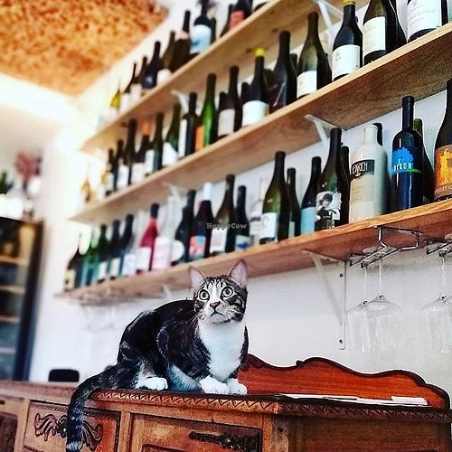 Wines  at Senhor Uva in Lisbon