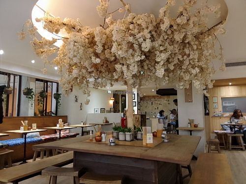  at Neko Ramen in Paris