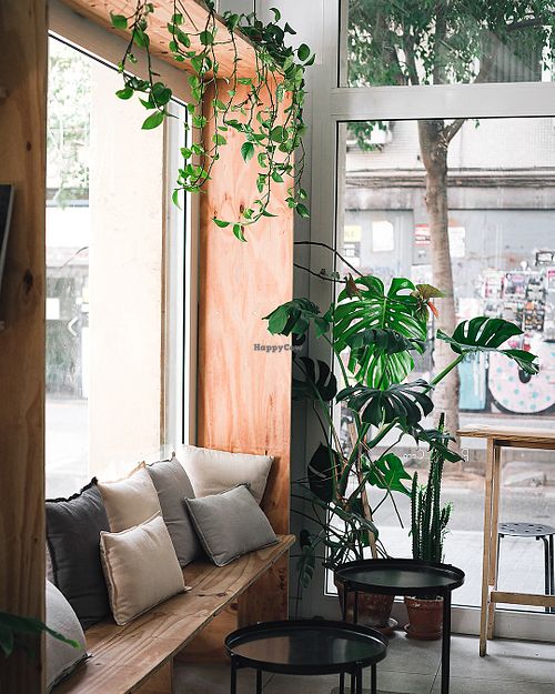 Plants and chill corner  at NEØ Coffee House in Barcelona