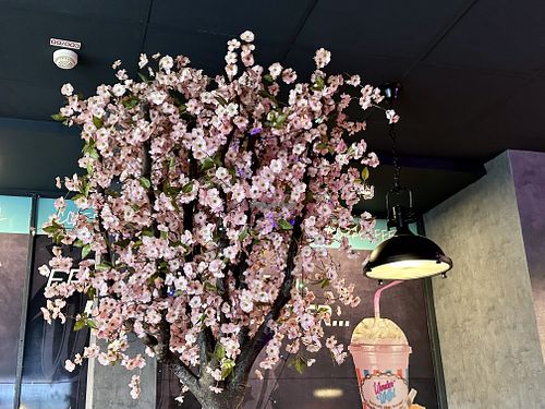 inside  at Wonder Waffel in Muenster