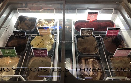 Big array of vegan ice creams  at Döner Summer in Leeds
